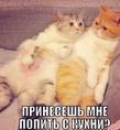 ��� 4 ���� ����� �� ��� ���