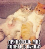 Буч 4 круг отчет за два дня