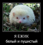 Первый день.фотоотчет.