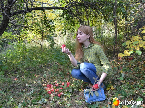 14 ����: Solnce)