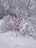 Замело нас, замело ))))