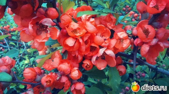 1 ����: �����