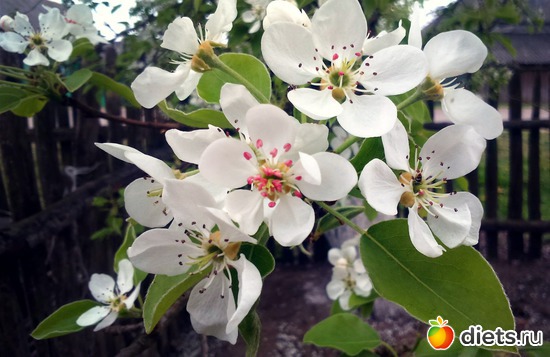 3 ����: �����