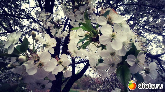 6 ����: �����