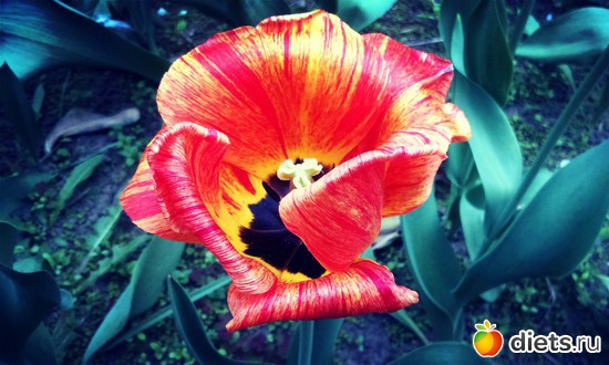 7 ����: �����
