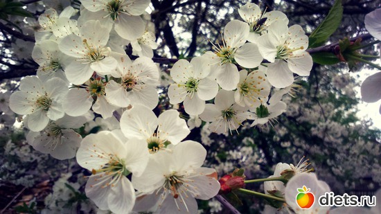 11 ����: �����