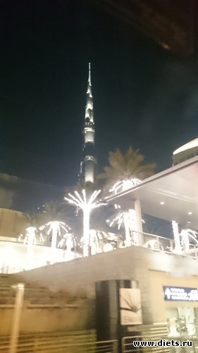17 ����: �����, 5.12.2015