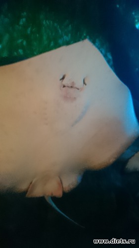 28 ����: �����, 5.12.2015