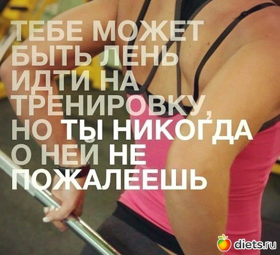 8 ����: ��� ���������