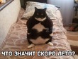 ���� � ���������