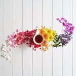 Неделя 8. День 3