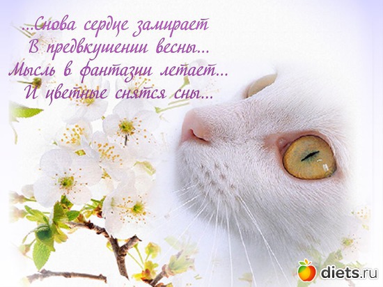 115 фото: картинки и открытки