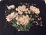 Lanarte - Tickled PInk