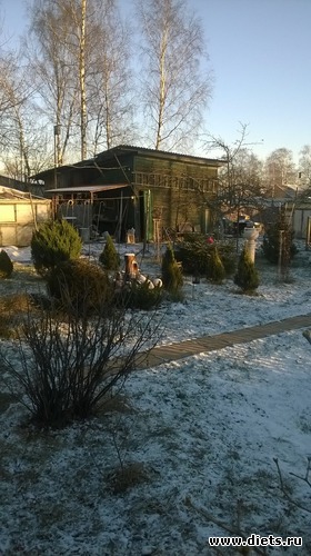 3 ����: ����� 2016