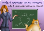 День 33