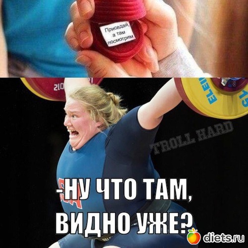 1 ����: ������, ���������