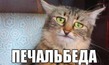 �.4 - ��������...
