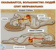 Правильное положение во время сна.