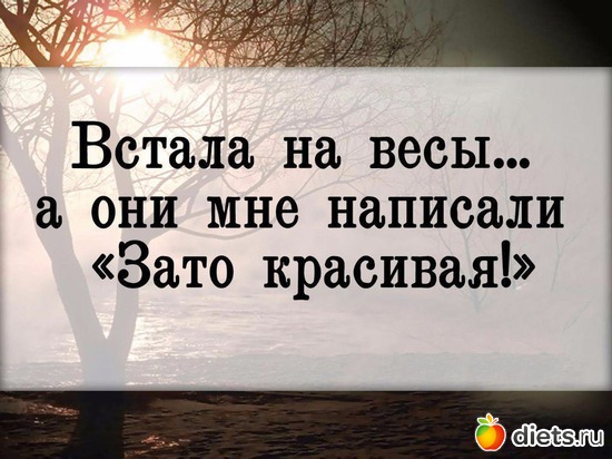 2 ����: ������