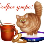 День 49