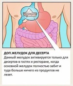 ���� ������� ����