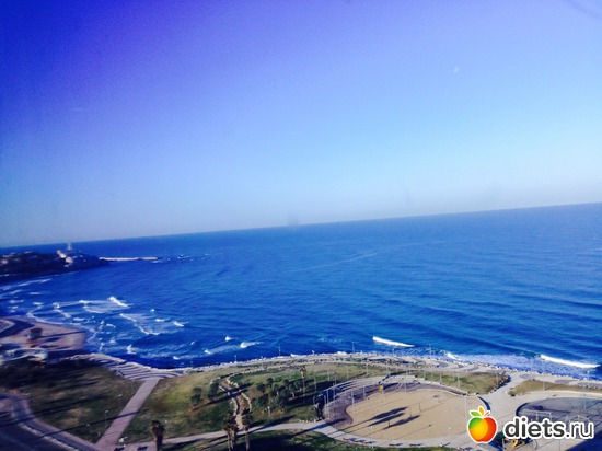 22 ����: 28.01.2016