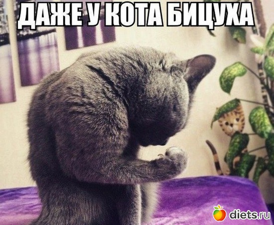 31 фото: Юмор))