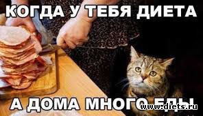 jumor