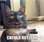 Теряю контроль... Как справится со срывами и разогнать метаболизм?