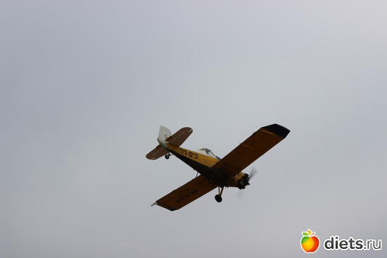 139 фото: Природа...