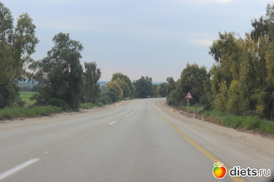 140 фото: Природа...