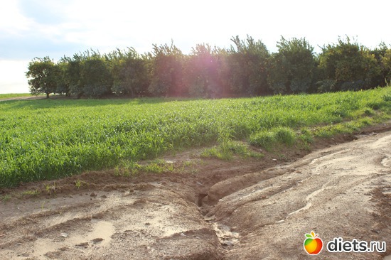 142 фото: Природа...