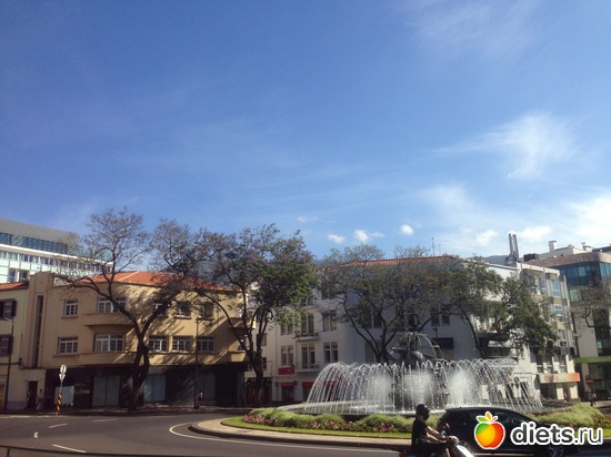 38 ����: ������� ���� 2016