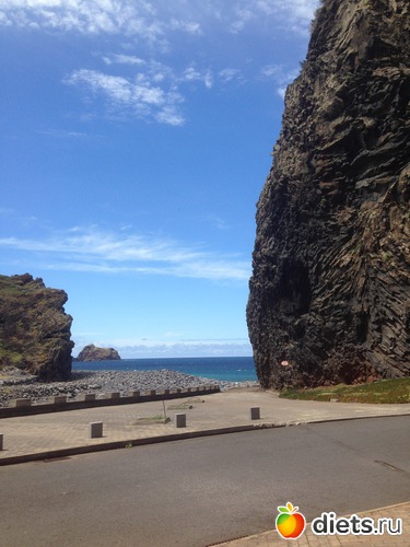 244 ����: ������� ���� 2016