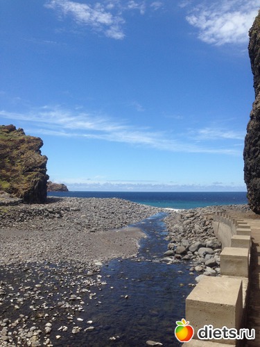 245 ����: ������� ���� 2016