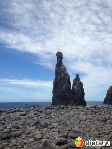 246 ����: ������� ���� 2016