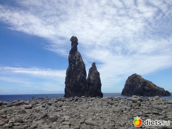 247 ����: ������� ���� 2016