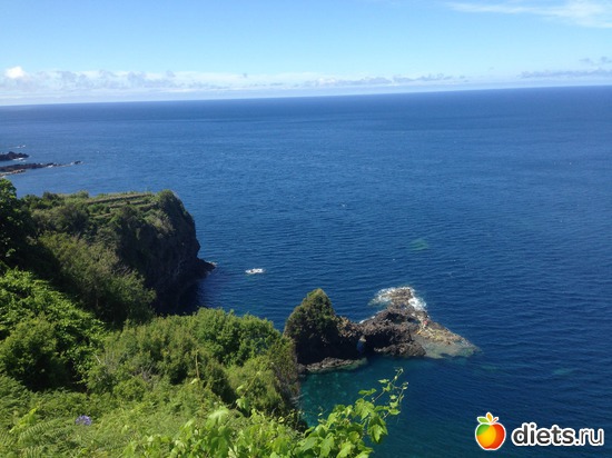 251 ����: ������� ���� 2016