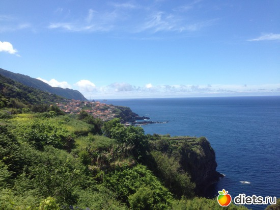 252 ����: ������� ���� 2016