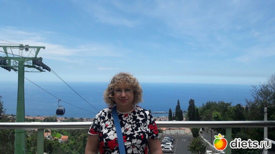 255 ����: ������� ���� 2016