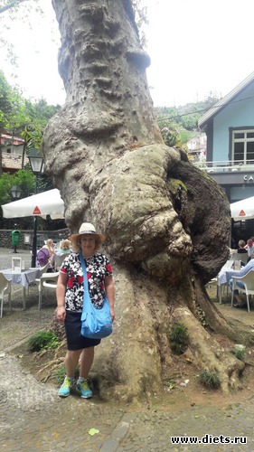 256 ����: ������� ���� 2016