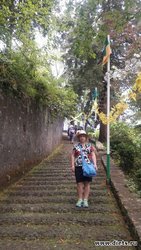 257 ����: ������� ���� 2016