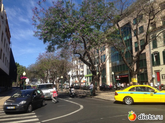 43 ����: ������� ���� 2016