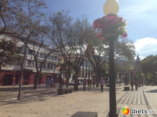 44 ����: ������� ���� 2016