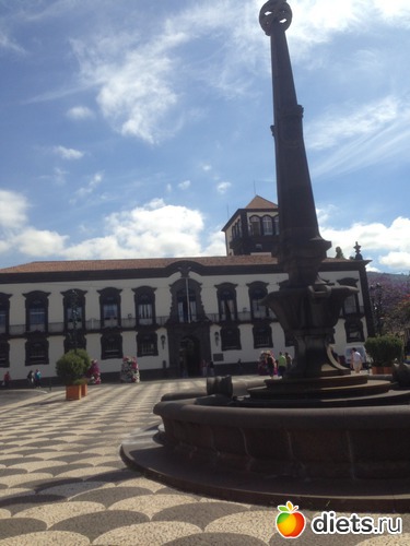 59 ����: ������� ���� 2016