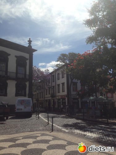 62 ����: ������� ���� 2016