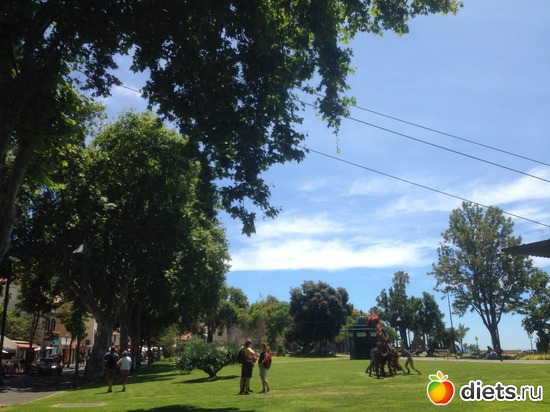 78 ����: ������� ���� 2016