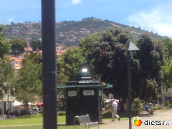 79 ����: ������� ���� 2016