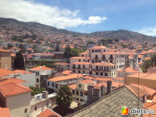 81 ����: ������� ���� 2016