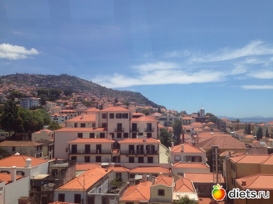 82 ����: ������� ���� 2016